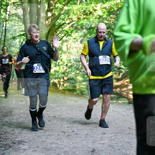 28.09.2025 - 33. Volkslauf durch das schöne Alstertal Dr. Thomas Lammeyer http://msf.ph/oto/8959119 28.09.2025 10:53:25 Laufen 313, 3239, 3240 meine-sportfotos.de