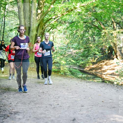 28.09.2025 - 33. Volkslauf durch das schöne Alstertal Dr. Thomas Lammeyer http://msf.ph/oto/8959138 28.09.2025 10:53:28 Laufen 3901, 325, 3139, 3958 meine-sportfotos.de