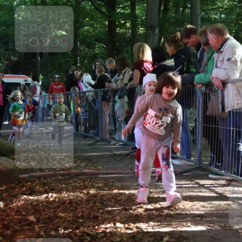 28.09.2025 - 33. Volkslauf durch das schöne Alstertal Strokosch-Dieckow http://msf.ph/oto/8959139 28.09.2025 10:43:27 Ziel  meine-sportfotos.de