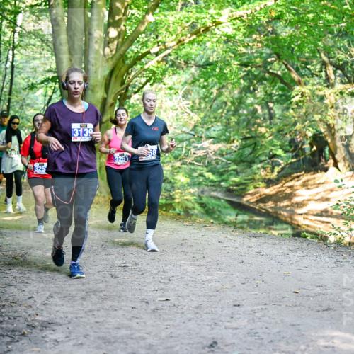 28.09.2025 - 33. Volkslauf durch das schöne Alstertal Dr. Thomas Lammeyer http://msf.ph/oto/8959141 28.09.2025 10:53:28 Laufen 39011, 325, 13139, 3251, 58 meine-sportfotos.de