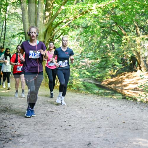 28.09.2025 - 33. Volkslauf durch das schöne Alstertal Dr. Thomas Lammeyer http://msf.ph/oto/8959143 28.09.2025 10:53:28 Laufen 325, 3139, 3251, 3958 meine-sportfotos.de