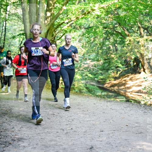 28.09.2025 - 33. Volkslauf durch das schöne Alstertal Dr. Thomas Lammeyer http://msf.ph/oto/8959145 28.09.2025 10:53:28 Laufen 6252, 131395, 3958 meine-sportfotos.de