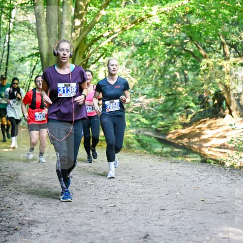 28.09.2025 - 33. Volkslauf durch das schöne Alstertal Dr. Thomas Lammeyer http://msf.ph/oto/8959146 28.09.2025 10:53:28 Laufen 9011, 13139, 1251, 3958 meine-sportfotos.de