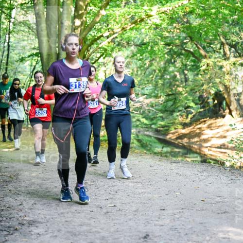 28.09.2025 - 33. Volkslauf durch das schöne Alstertal Dr. Thomas Lammeyer http://msf.ph/oto/8959147 28.09.2025 10:53:28 Laufen 3901, 3252, 13139, 3251, 58 meine-sportfotos.de