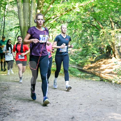 28.09.2025 - 33. Volkslauf durch das schöne Alstertal Dr. Thomas Lammeyer http://msf.ph/oto/8959149 28.09.2025 10:53:29 Laufen 2125, 3901, 3252, 3139, 8, 3558 meine-sportfotos.de
