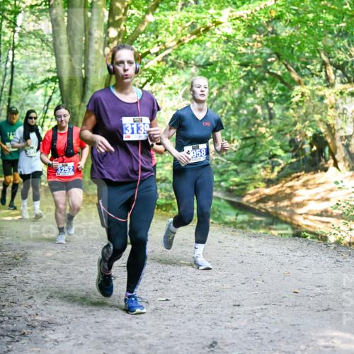 28.09.2025 - 33. Volkslauf durch das schöne Alstertal Dr. Thomas Lammeyer http://msf.ph/oto/8959151 28.09.2025 10:53:29 Laufen 3252, 13139, 958 meine-sportfotos.de