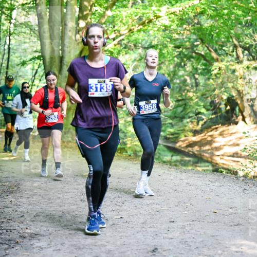 28.09.2025 - 33. Volkslauf durch das schöne Alstertal Dr. Thomas Lammeyer http://msf.ph/oto/8959152 28.09.2025 10:53:29 Laufen 3252, 13139, 3958 meine-sportfotos.de