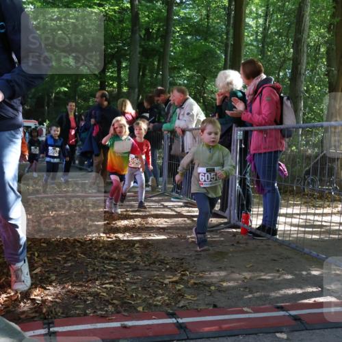 28.09.2025 - 33. Volkslauf durch das schöne Alstertal Strokosch-Dieckow http://msf.ph/oto/8959161 28.09.2025 10:43:31 Ziel  meine-sportfotos.de