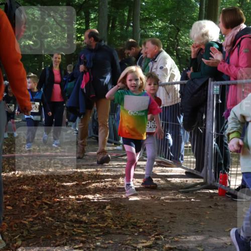 28.09.2025 - 33. Volkslauf durch das schöne Alstertal Strokosch-Dieckow http://msf.ph/oto/8959164 28.09.2025 10:43:32 Ziel  meine-sportfotos.de