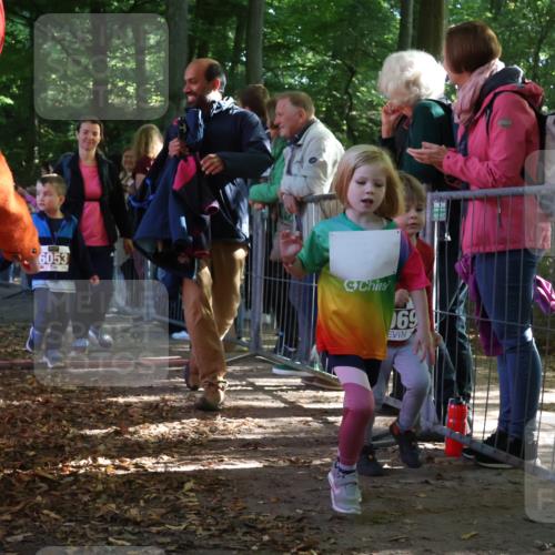 28.09.2025 - 33. Volkslauf durch das schöne Alstertal Strokosch-Dieckow http://msf.ph/oto/8959167 28.09.2025 10:43:32 Ziel  meine-sportfotos.de