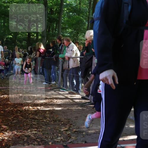 28.09.2025 - 33. Volkslauf durch das schöne Alstertal Strokosch-Dieckow http://msf.ph/oto/8959180 28.09.2025 10:43:37 Ziel  meine-sportfotos.de