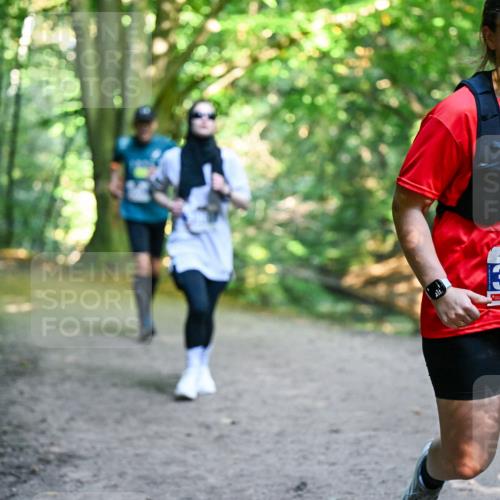 28.09.2025 - 33. Volkslauf durch das schöne Alstertal Dr. Thomas Lammeyer http://msf.ph/oto/8959181 28.09.2025 10:53:32 Laufen 3252 meine-sportfotos.de
