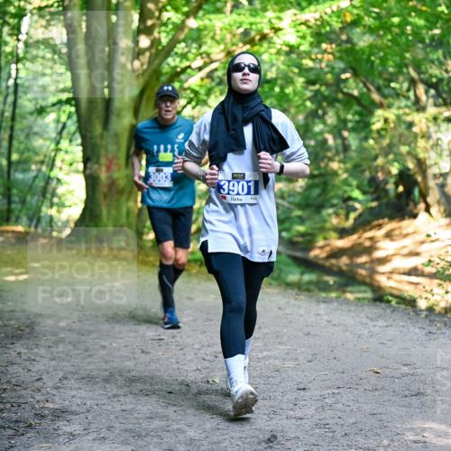 28.09.2025 - 33. Volkslauf durch das schöne Alstertal Dr. Thomas Lammeyer http://msf.ph/oto/8959184 28.09.2025 10:53:33 Laufen 3003, 3901 meine-sportfotos.de