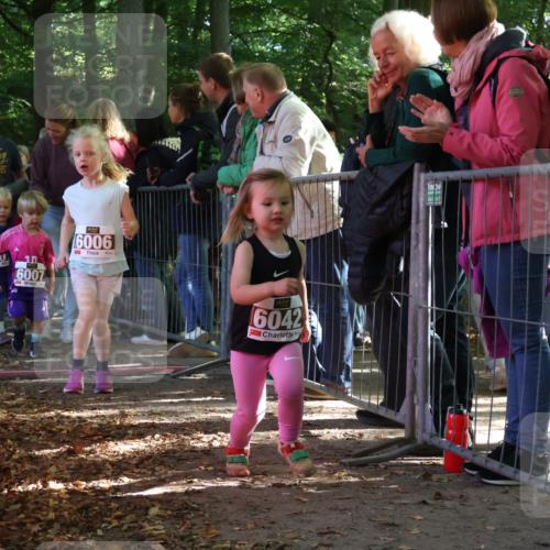 28.09.2025 - 33. Volkslauf durch das schöne Alstertal Strokosch-Dieckow http://msf.ph/oto/8959185 28.09.2025 10:43:39 Ziel  meine-sportfotos.de