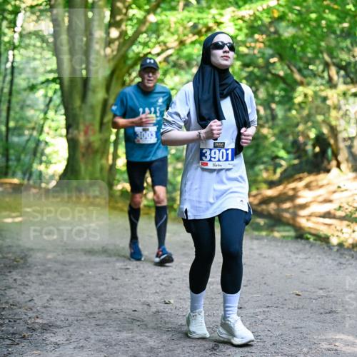 28.09.2025 - 33. Volkslauf durch das schöne Alstertal Dr. Thomas Lammeyer http://msf.ph/oto/8959187 28.09.2025 10:53:33 Laufen 3003, 3901 meine-sportfotos.de