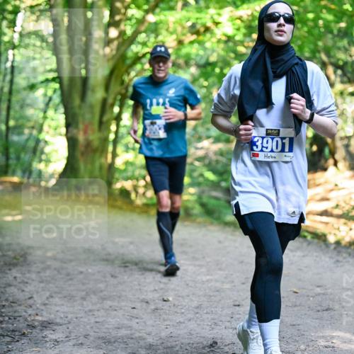 28.09.2025 - 33. Volkslauf durch das schöne Alstertal Dr. Thomas Lammeyer http://msf.ph/oto/8959192 28.09.2025 10:53:34 Laufen 125, 3901 meine-sportfotos.de