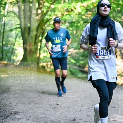 28.09.2025 - 33. Volkslauf durch das schöne Alstertal Dr. Thomas Lammeyer http://msf.ph/oto/8959193 28.09.2025 10:53:34 Laufen 2425, 3901 meine-sportfotos.de