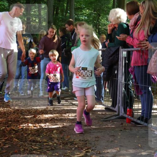 28.09.2025 - 33. Volkslauf durch das schöne Alstertal Strokosch-Dieckow http://msf.ph/oto/8959194 28.09.2025 10:43:40 Ziel  meine-sportfotos.de