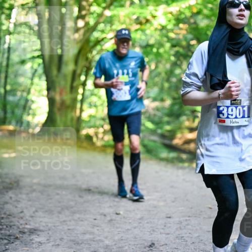 28.09.2025 - 33. Volkslauf durch das schöne Alstertal Dr. Thomas Lammeyer http://msf.ph/oto/8959195 28.09.2025 10:53:34 Laufen 2425, 3901 meine-sportfotos.de
