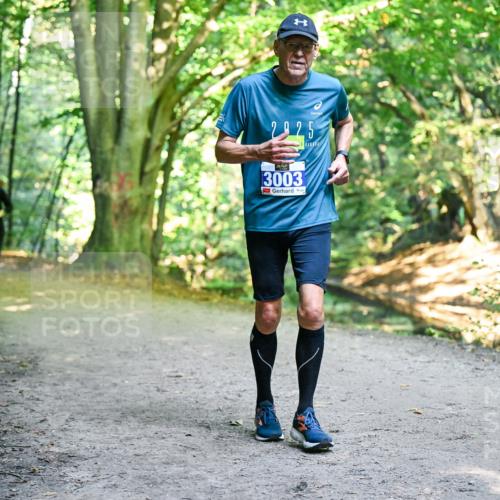 28.09.2025 - 33. Volkslauf durch das schöne Alstertal Dr. Thomas Lammeyer http://msf.ph/oto/8959199 28.09.2025 10:53:34 Laufen 2925, 3003 meine-sportfotos.de