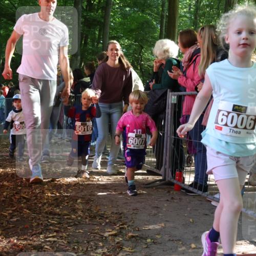 28.09.2025 - 33. Volkslauf durch das schöne Alstertal Strokosch-Dieckow http://msf.ph/oto/8959200 28.09.2025 10:43:41 Ziel  meine-sportfotos.de