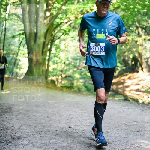 28.09.2025 - 33. Volkslauf durch das schöne Alstertal Dr. Thomas Lammeyer http://msf.ph/oto/8959204 28.09.2025 10:53:35 Laufen 2025, 19, 3003 meine-sportfotos.de