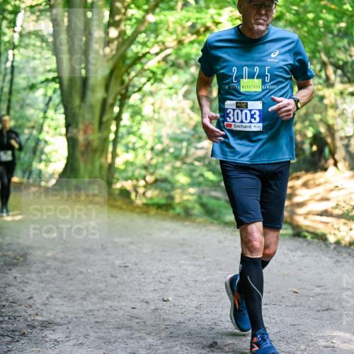 28.09.2025 - 33. Volkslauf durch das schöne Alstertal Dr. Thomas Lammeyer http://msf.ph/oto/8959206 28.09.2025 10:53:35 Laufen 2025, 19, 3003 meine-sportfotos.de