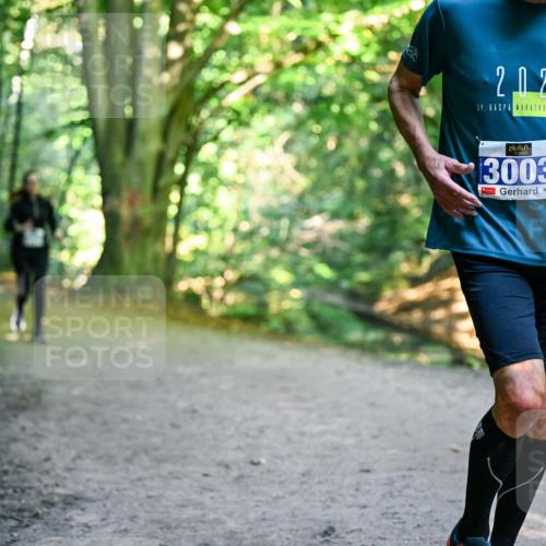28.09.2025 - 33. Volkslauf durch das schöne Alstertal Dr. Thomas Lammeyer http://msf.ph/oto/8959212 28.09.2025 10:53:36 Laufen 2025, 39, 3003 meine-sportfotos.de