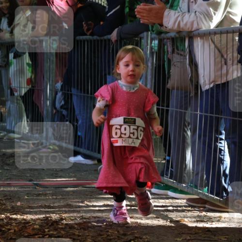 28.09.2025 - 33. Volkslauf durch das schöne Alstertal Strokosch-Dieckow http://msf.ph/oto/8959225 28.09.2025 10:43:50 Ziel  meine-sportfotos.de