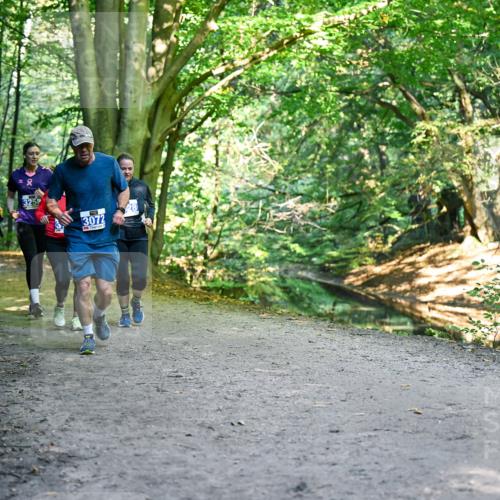 28.09.2025 - 33. Volkslauf durch das schöne Alstertal Dr. Thomas Lammeyer http://msf.ph/oto/8959253 28.09.2025 10:53:45 Laufen 329, 8, 3072 meine-sportfotos.de