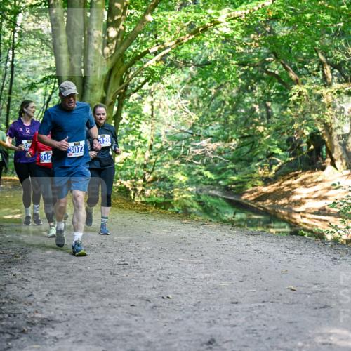 28.09.2025 - 33. Volkslauf durch das schöne Alstertal Dr. Thomas Lammeyer http://msf.ph/oto/8959257 28.09.2025 10:53:45 Laufen 269, 312, 3072, 128 meine-sportfotos.de