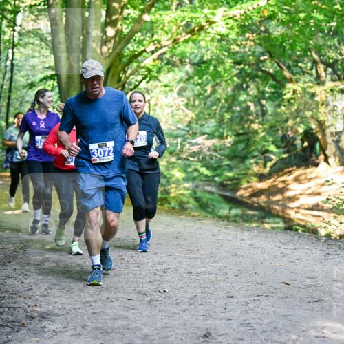 28.09.2025 - 33. Volkslauf durch das schöne Alstertal Dr. Thomas Lammeyer http://msf.ph/oto/8959267 28.09.2025 10:53:46 Laufen 3072, 28 meine-sportfotos.de
