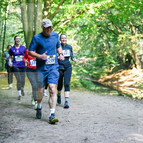 28.09.2025 - 33. Volkslauf durch das schöne Alstertal Dr. Thomas Lammeyer http://msf.ph/oto/8959271 28.09.2025 10:53:47 Laufen 3258, 312, 3072, 3128 meine-sportfotos.de