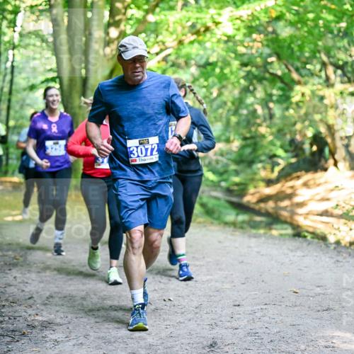 28.09.2025 - 33. Volkslauf durch das schöne Alstertal Dr. Thomas Lammeyer http://msf.ph/oto/8959275 28.09.2025 10:53:47 Laufen 3072 meine-sportfotos.de