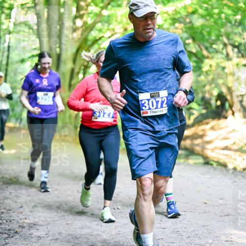 28.09.2025 - 33. Volkslauf durch das schöne Alstertal Dr. Thomas Lammeyer http://msf.ph/oto/8959283 28.09.2025 10:53:48 Laufen 3072 meine-sportfotos.de