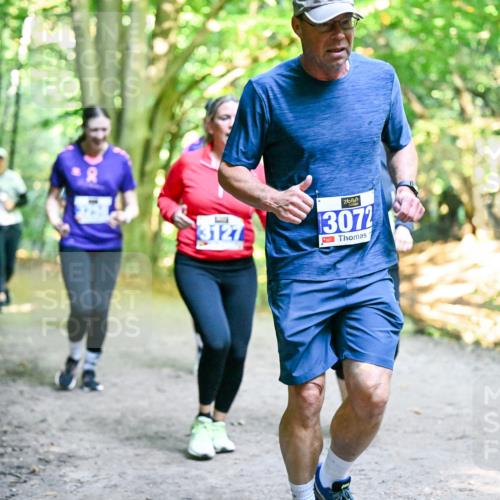 28.09.2025 - 33. Volkslauf durch das schöne Alstertal Dr. Thomas Lammeyer http://msf.ph/oto/8959285 28.09.2025 10:53:48 Laufen 3127, 3072 meine-sportfotos.de