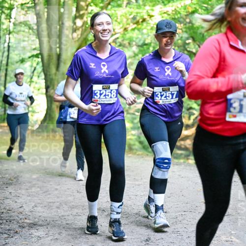 28.09.2025 - 33. Volkslauf durch das schöne Alstertal Dr. Thomas Lammeyer http://msf.ph/oto/8959291 28.09.2025 10:53:49 Laufen 22, 3258, 2, 3257, 3127 meine-sportfotos.de