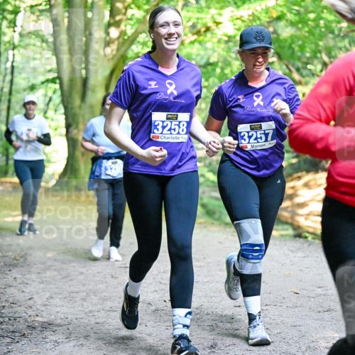 28.09.2025 - 33. Volkslauf durch das schöne Alstertal Dr. Thomas Lammeyer http://msf.ph/oto/8959293 28.09.2025 10:53:49 Laufen 3258, 3257, 3127 meine-sportfotos.de