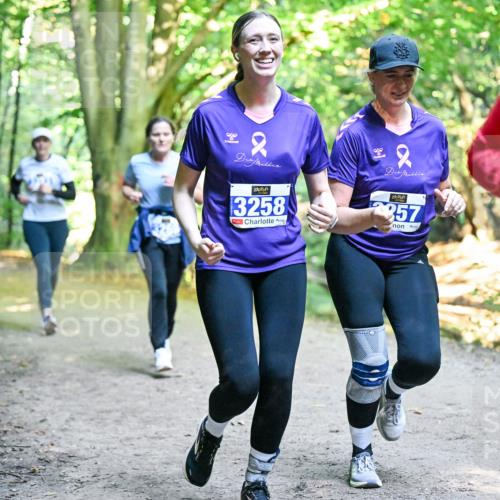 28.09.2025 - 33. Volkslauf durch das schöne Alstertal Dr. Thomas Lammeyer http://msf.ph/oto/8959295 28.09.2025 10:53:49 Laufen 2, 3258, 2, 357 meine-sportfotos.de