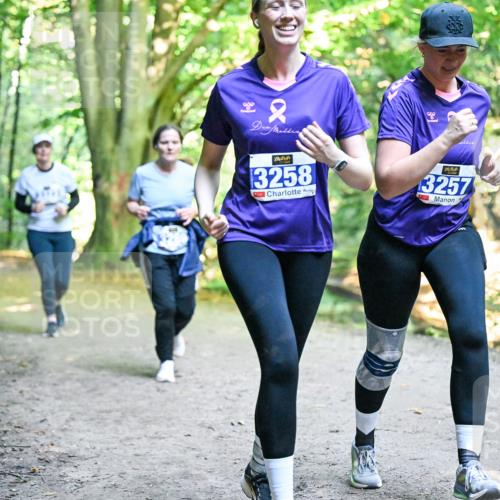28.09.2025 - 33. Volkslauf durch das schöne Alstertal Dr. Thomas Lammeyer http://msf.ph/oto/8959297 28.09.2025 10:53:49 Laufen 3258, 3257 meine-sportfotos.de