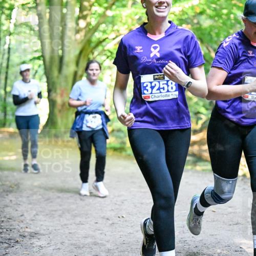 28.09.2025 - 33. Volkslauf durch das schöne Alstertal Dr. Thomas Lammeyer http://msf.ph/oto/8959298 28.09.2025 10:53:50 Laufen 22, 99, 3258 meine-sportfotos.de