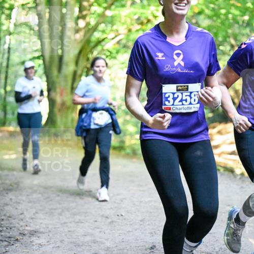 28.09.2025 - 33. Volkslauf durch das schöne Alstertal Dr. Thomas Lammeyer http://msf.ph/oto/8959300 28.09.2025 10:53:50 Laufen 2, 2, 3258, 3257 meine-sportfotos.de