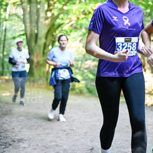 28.09.2025 - 33. Volkslauf durch das schöne Alstertal Dr. Thomas Lammeyer http://msf.ph/oto/8959302 28.09.2025 10:53:50 Laufen 2, 3258, 1325 meine-sportfotos.de