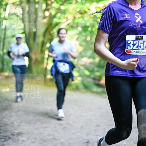 28.09.2025 - 33. Volkslauf durch das schöne Alstertal Dr. Thomas Lammeyer http://msf.ph/oto/8959303 28.09.2025 10:53:50 Laufen 3258 meine-sportfotos.de