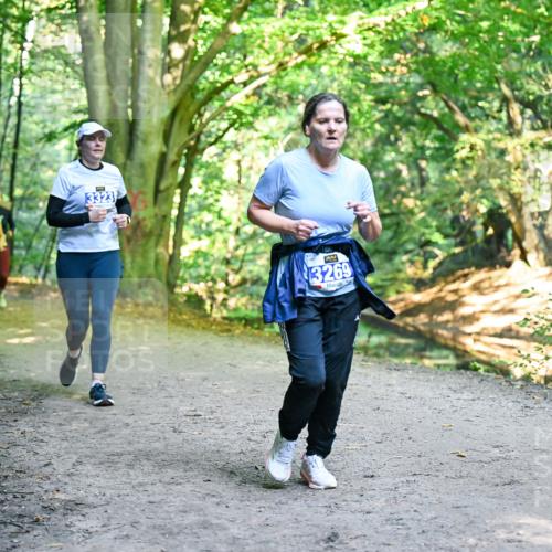28.09.2025 - 33. Volkslauf durch das schöne Alstertal Dr. Thomas Lammeyer http://msf.ph/oto/8959305 28.09.2025 10:53:51 Laufen 3323, 3269 meine-sportfotos.de