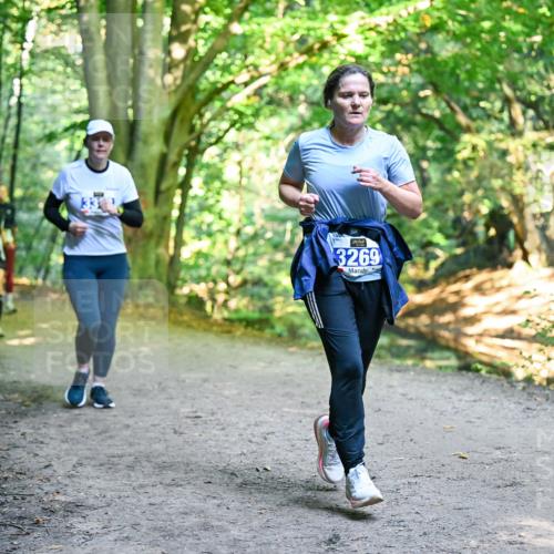 28.09.2025 - 33. Volkslauf durch das schöne Alstertal Dr. Thomas Lammeyer http://msf.ph/oto/8959306 28.09.2025 10:53:51 Laufen 3269 meine-sportfotos.de