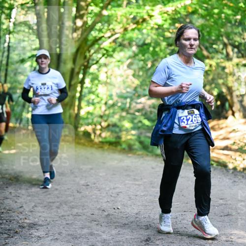 28.09.2025 - 33. Volkslauf durch das schöne Alstertal Dr. Thomas Lammeyer http://msf.ph/oto/8959310 28.09.2025 10:53:51 Laufen 3269 meine-sportfotos.de