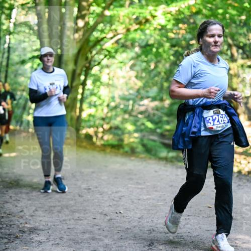 28.09.2025 - 33. Volkslauf durch das schöne Alstertal Dr. Thomas Lammeyer http://msf.ph/oto/8959311 28.09.2025 10:53:51 Laufen 3269 meine-sportfotos.de