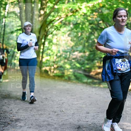 28.09.2025 - 33. Volkslauf durch das schöne Alstertal Dr. Thomas Lammeyer http://msf.ph/oto/8959313 28.09.2025 10:53:51 Laufen 3269 meine-sportfotos.de