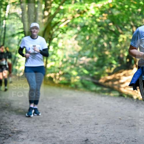 28.09.2025 - 33. Volkslauf durch das schöne Alstertal Dr. Thomas Lammeyer http://msf.ph/oto/8959316 28.09.2025 10:53:51 Laufen 3269 meine-sportfotos.de